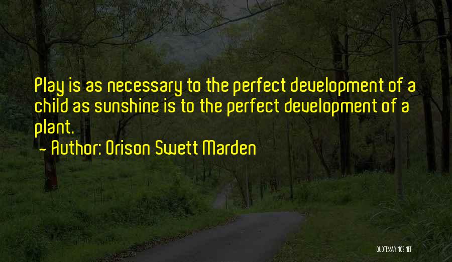 Play And Child Development Quotes By Orison Swett Marden