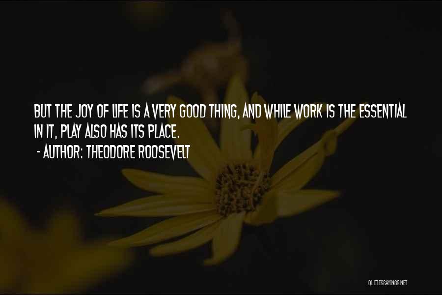 Play And Work Quotes By Theodore Roosevelt