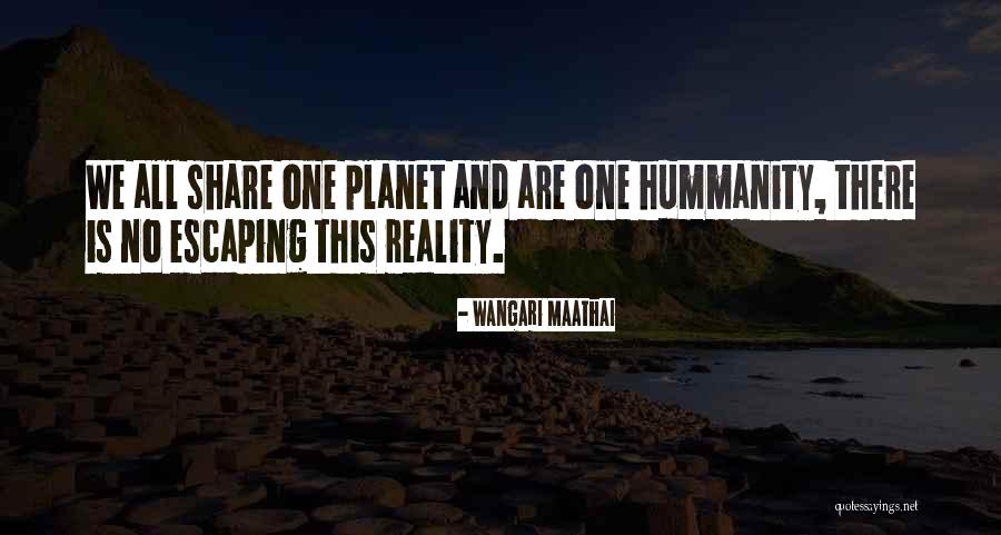 Play Eldorado Quotes By Wangari Maathai Play Eldorado Quotes By Wangari Maathai