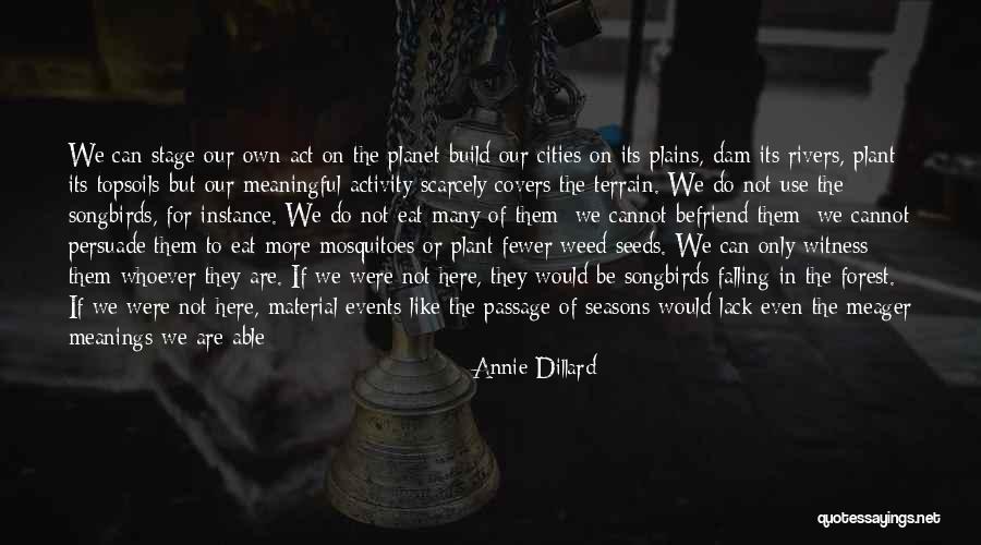 Play In Nature Quotes By Annie Dillard Play In Nature Quotes By Annie Dillard