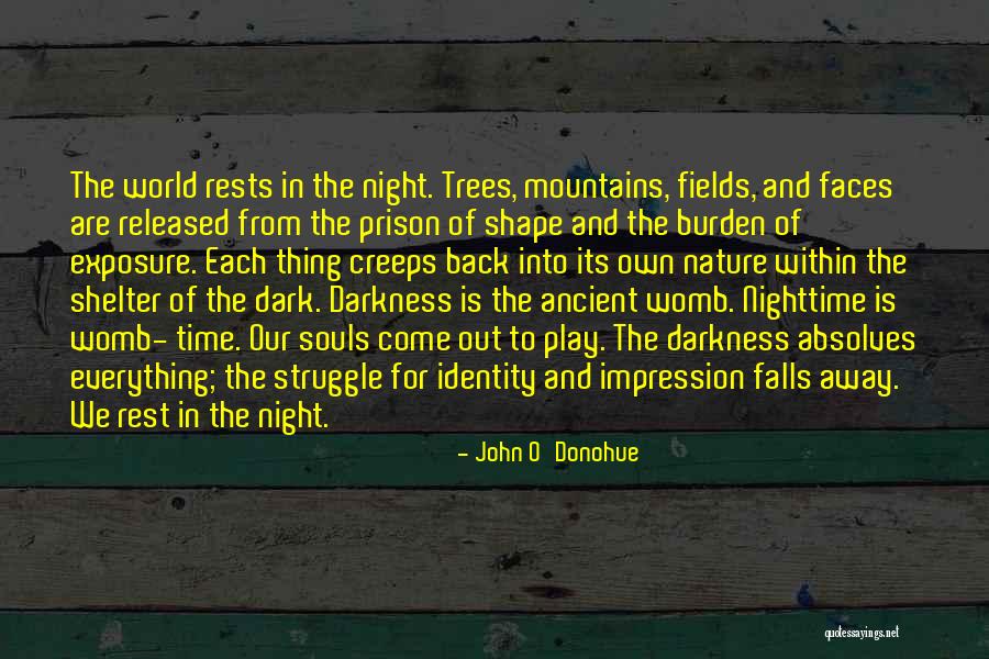Play In Nature Quotes By John O'Donohue Play In Nature Quotes By John O'Donohue