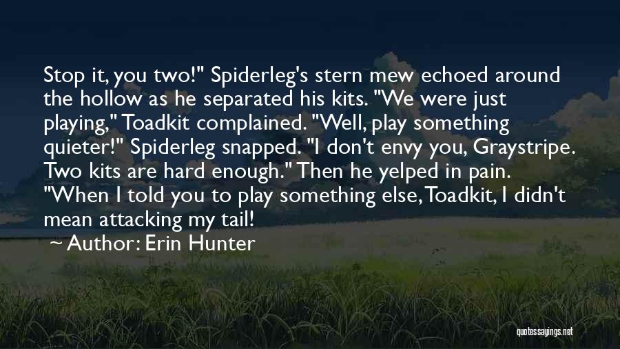 Play It Well Quotes By Erin Hunter