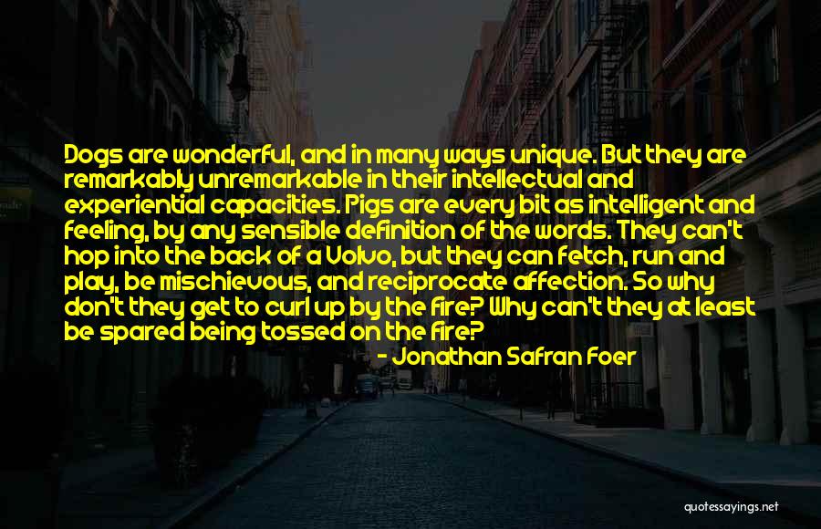 Play On Words Quotes By Jonathan Safran Foer Play On Words Quotes By Jonathan Safran Foer