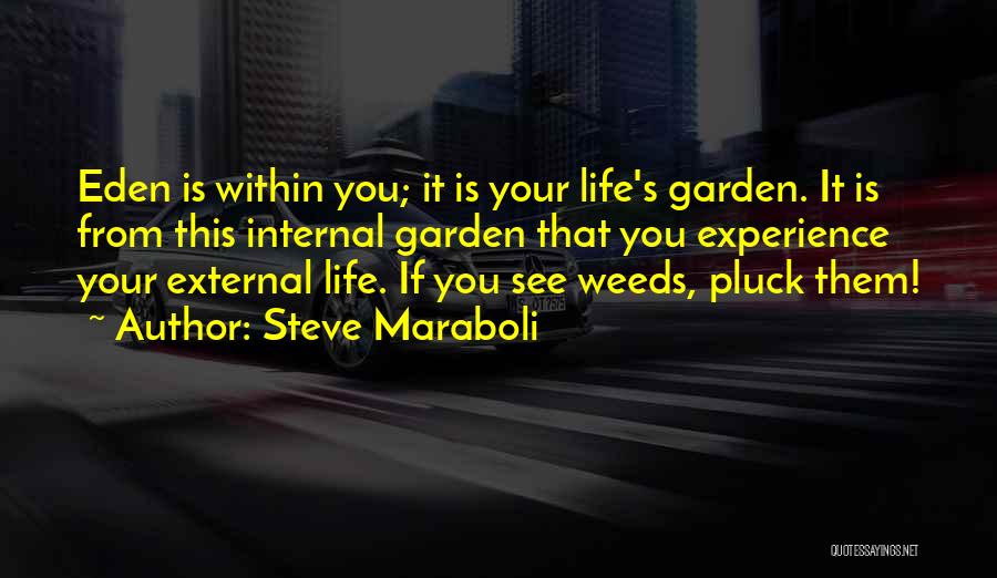 Play To Win Winner Quotes By Steve Maraboli