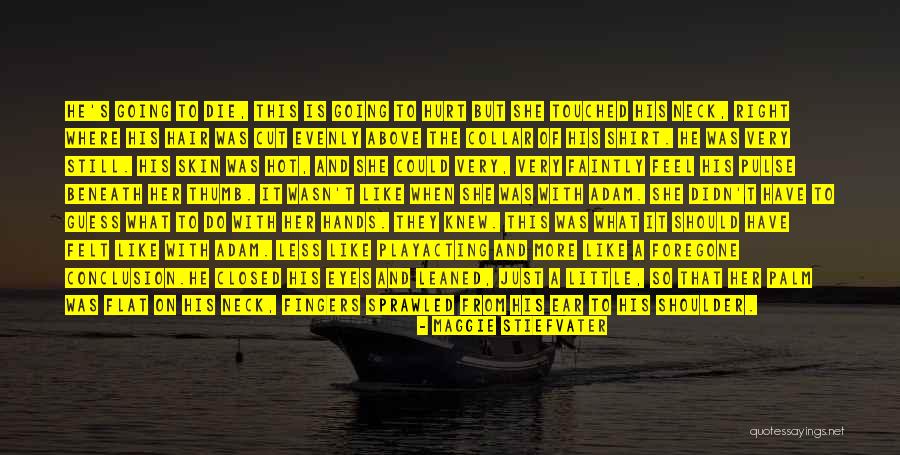 Playacting Quotes By Maggie Stiefvater Playacting Quotes By Maggie Stiefvater