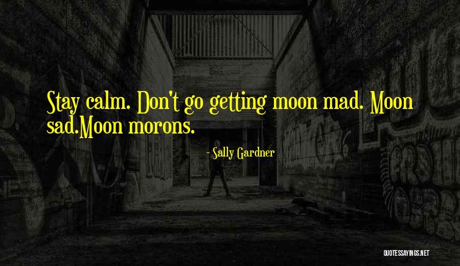 Playboy Guys Quotes By Sally Gardner Playboy Guys Quotes By Sally Gardner