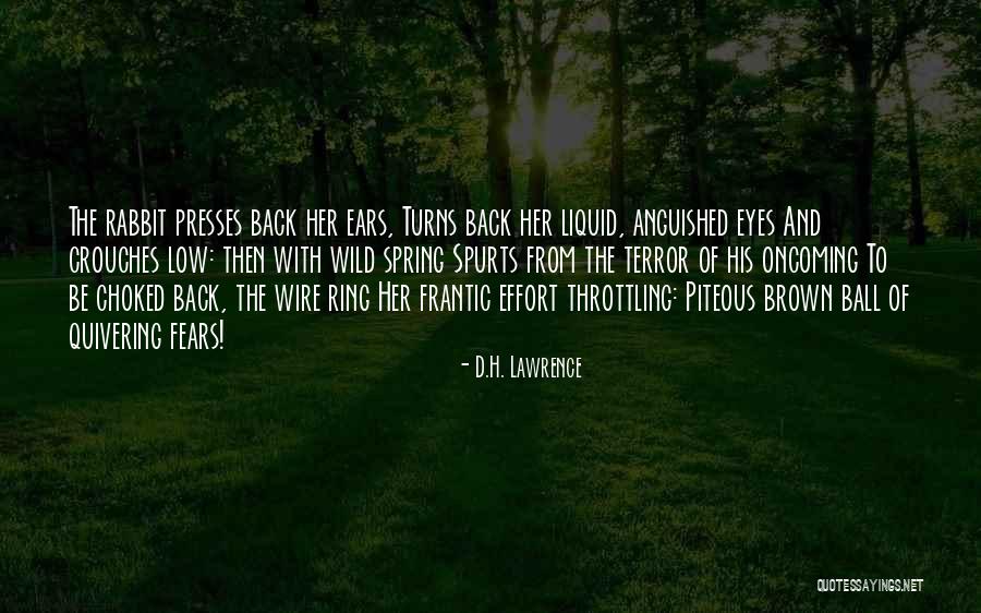 Playfairs Axiom Quotes By D.H. Lawrence Playfairs Axiom Quotes By D.H. Lawrence