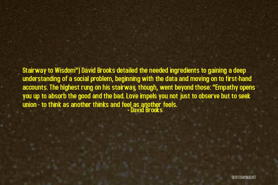 Playfooty Quotes By David Brooks Playfooty Quotes By David Brooks