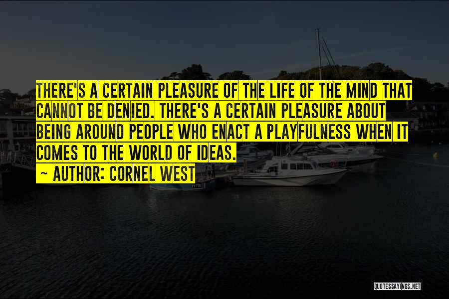 Playfulness Quotes By Cornel West