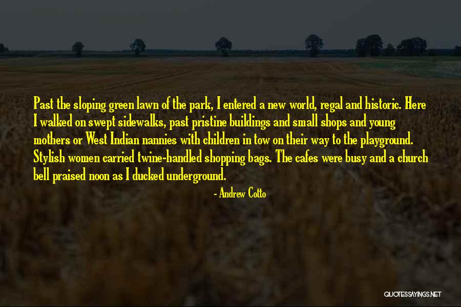 Playground Quotes By Andrew Cotto