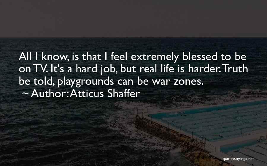 Playgrounds Quotes By Atticus Shaffer