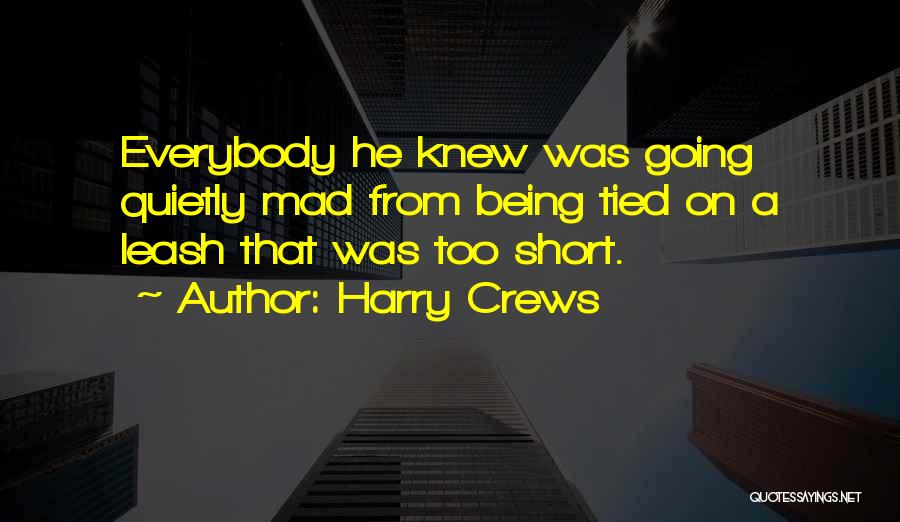 Playgrounds Quotes By Harry Crews