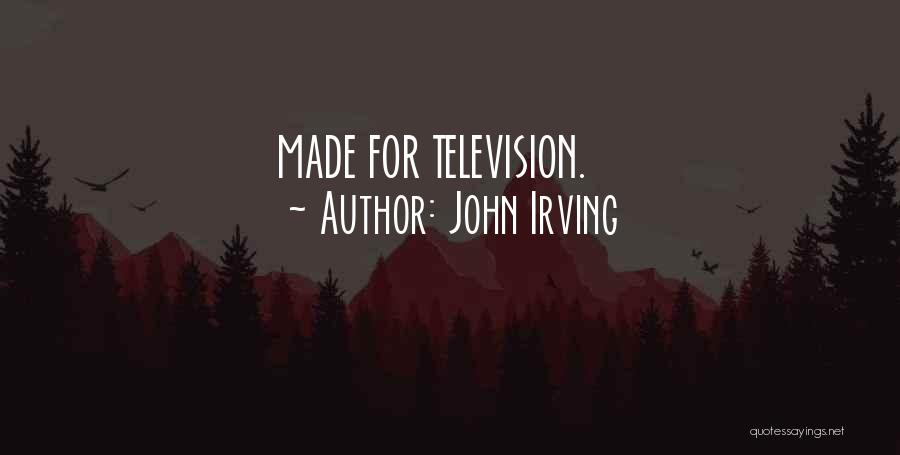 Playgrounds Quotes By John Irving