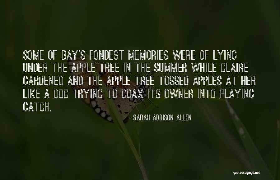 Playing Catch Quotes By Sarah Addison Allen Playing Catch Quotes By Sarah Addison Allen