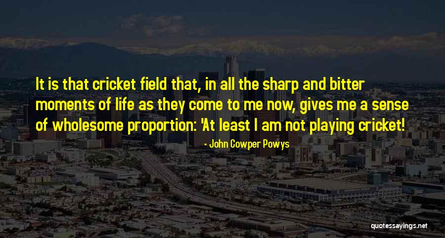 Playing Fields Quotes By John Cowper Powys Playing Fields Quotes By John Cowper Powys