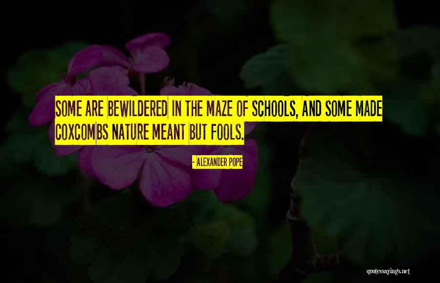 Playing In Snow Quotes By Alexander Pope Playing In Snow Quotes By Alexander Pope