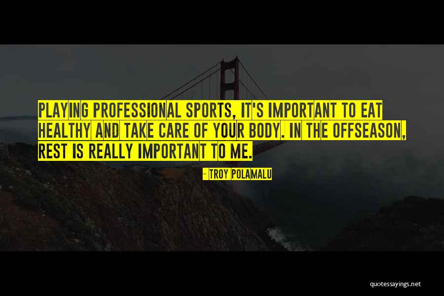 Playing Sports Quotes By Troy Polamalu