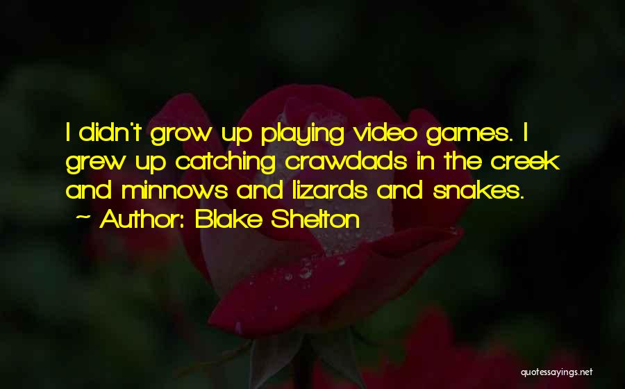 Playing Video Games Quotes By Blake Shelton
