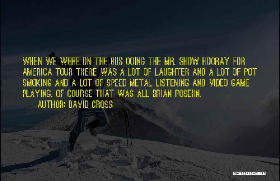 Playing Video Games Quotes By David Cross