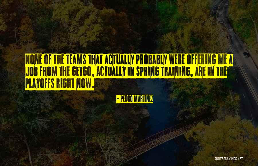 Playoffs Quotes By Pedro Martinez Playoffs Quotes By Pedro Martinez
