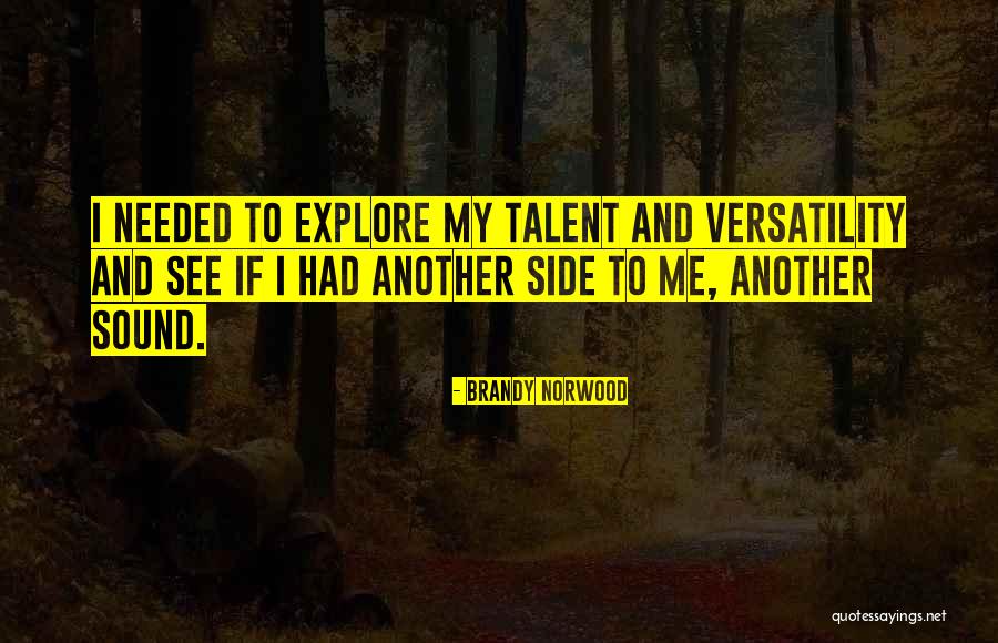 Plazca Definicion Quotes By Brandy Norwood Plazca Definicion Quotes By Brandy Norwood