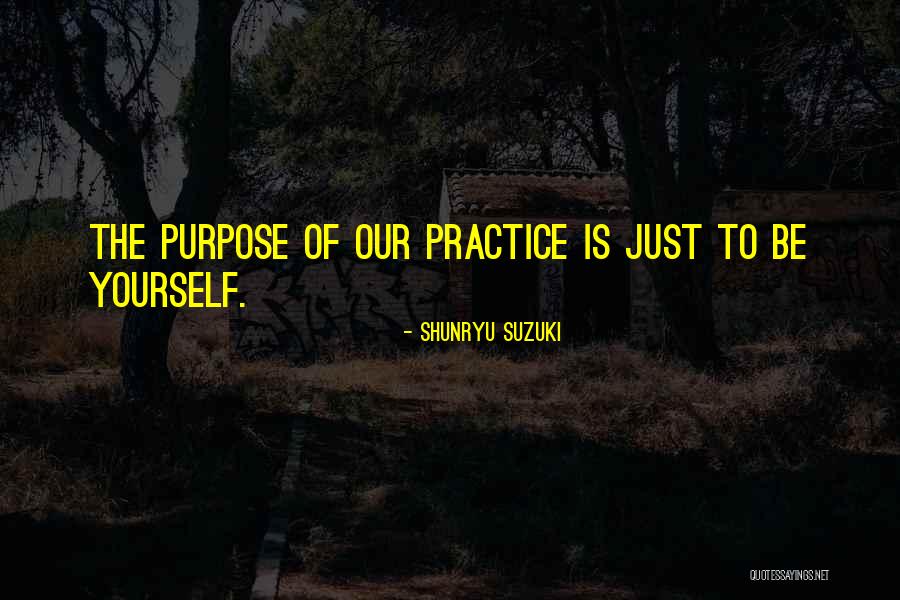Plazca Definicion Quotes By Shunryu Suzuki Plazca Definicion Quotes By Shunryu Suzuki