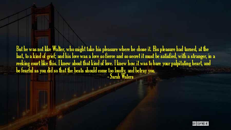 Plazca En Quotes By Sarah Waters Plazca En Quotes By Sarah Waters