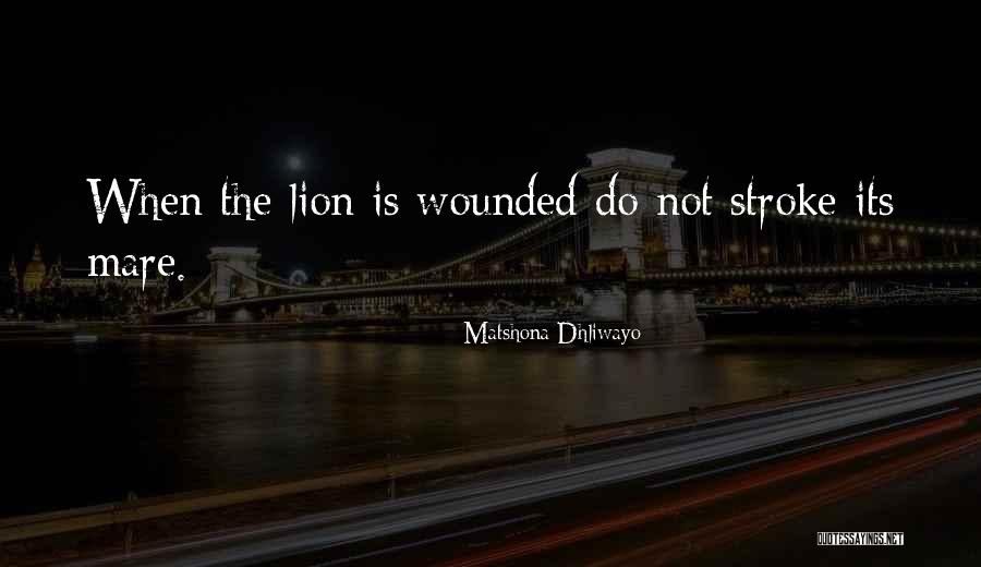 Plead My Cause Quotes By Matshona Dhliwayo