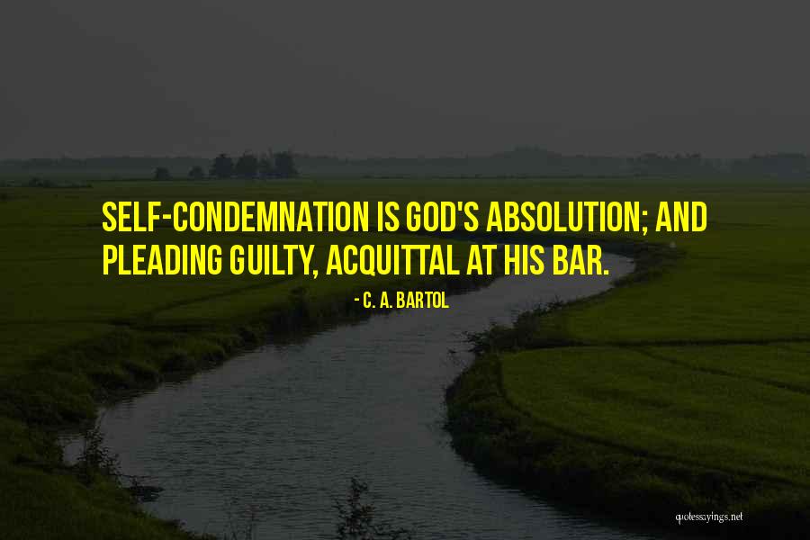 Pleading Not Guilty Quotes By C. A. Bartol