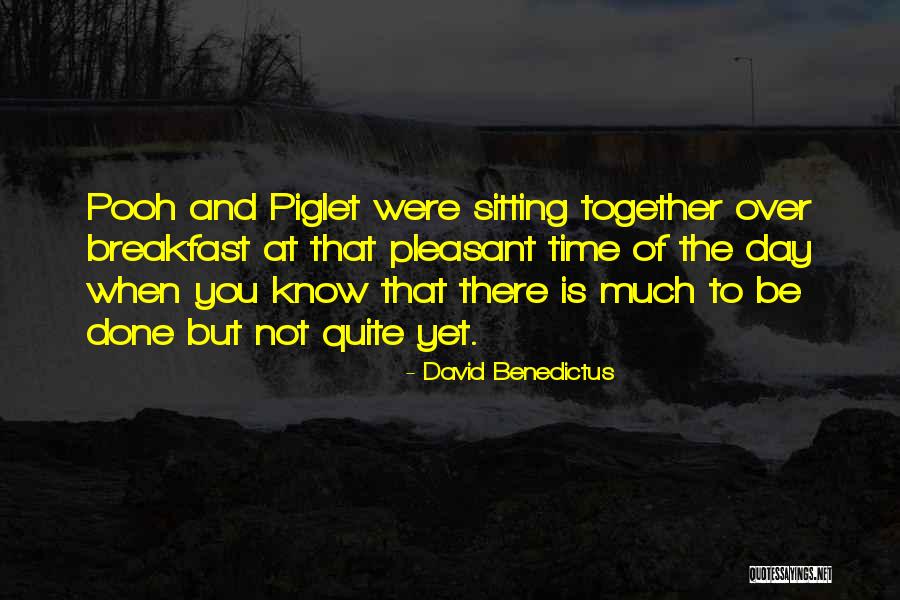 Pleasant Day Quotes By David Benedictus Pleasant Day Quotes By David Benedictus