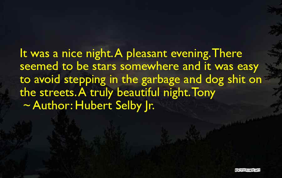 Pleasant Night Quotes By Hubert Selby Jr.