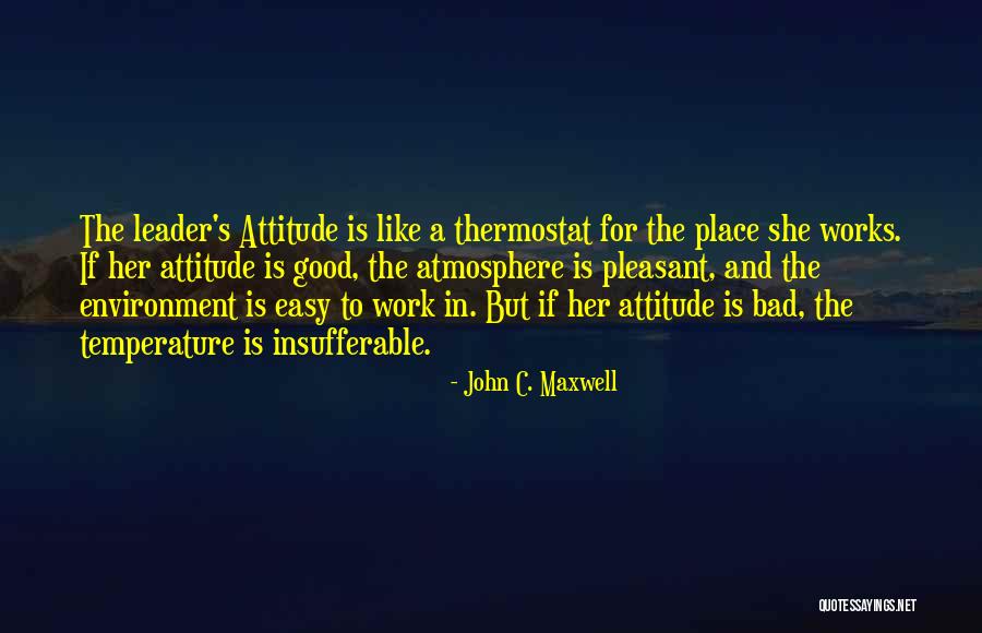 Pleasant Work Environment Quotes By John C. Maxwell