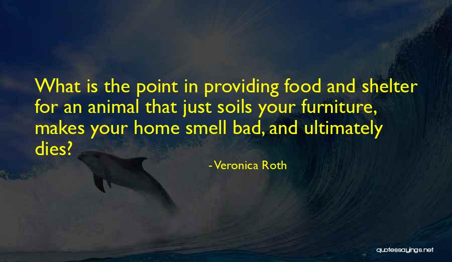 Pleasantry Quotes By Veronica Roth Pleasantry Quotes By Veronica Roth