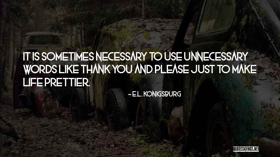 Please And Thank You Quotes By E.L. Konigsburg