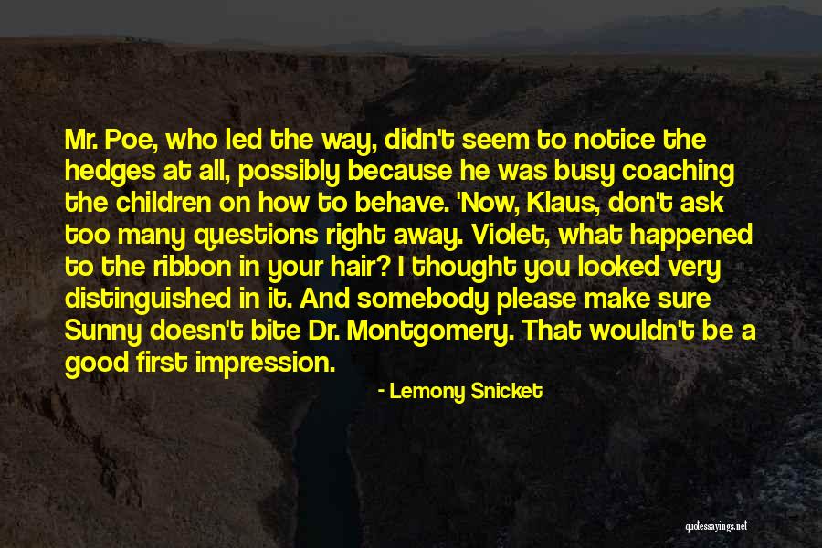 Please Behave Quotes By Lemony Snicket Please Behave Quotes By Lemony Snicket