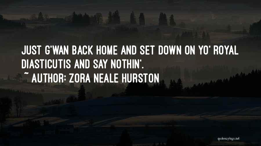 Please Come Back Home Quotes By Zora Neale Hurston