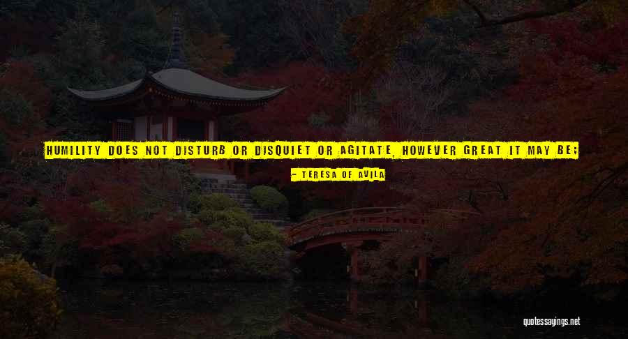 Please Disturb Me Quotes By Teresa Of Avila Please Disturb Me Quotes By Teresa Of Avila