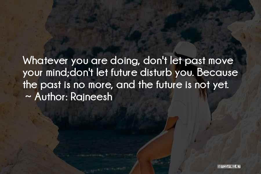 Please Don't Disturb Me Quotes By Rajneesh