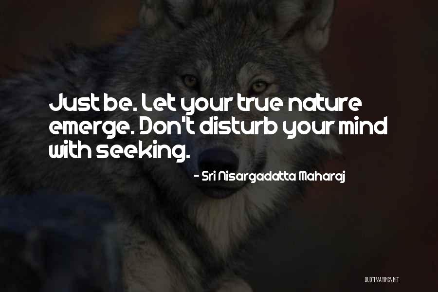 Please Don't Disturb Quotes By Sri Nisargadatta Maharaj