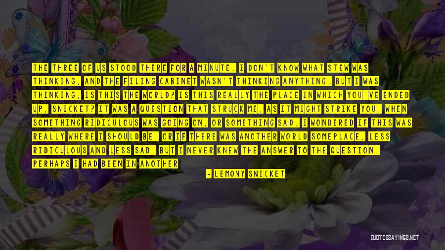 Please Don't Get Me Wrong Quotes By Lemony Snicket