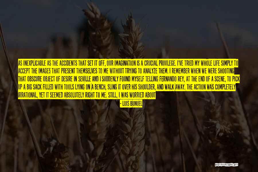 Please Don't Go Images With Quotes By Luis Bunuel Please Don't Go Images With Quotes By Luis Bunuel