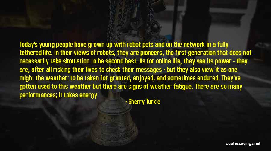 Please Don't Take Me For Granted Quotes By Sherry Turkle