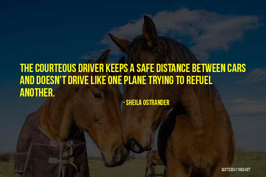 Please Drive Safe Quotes By Sheila Ostrander