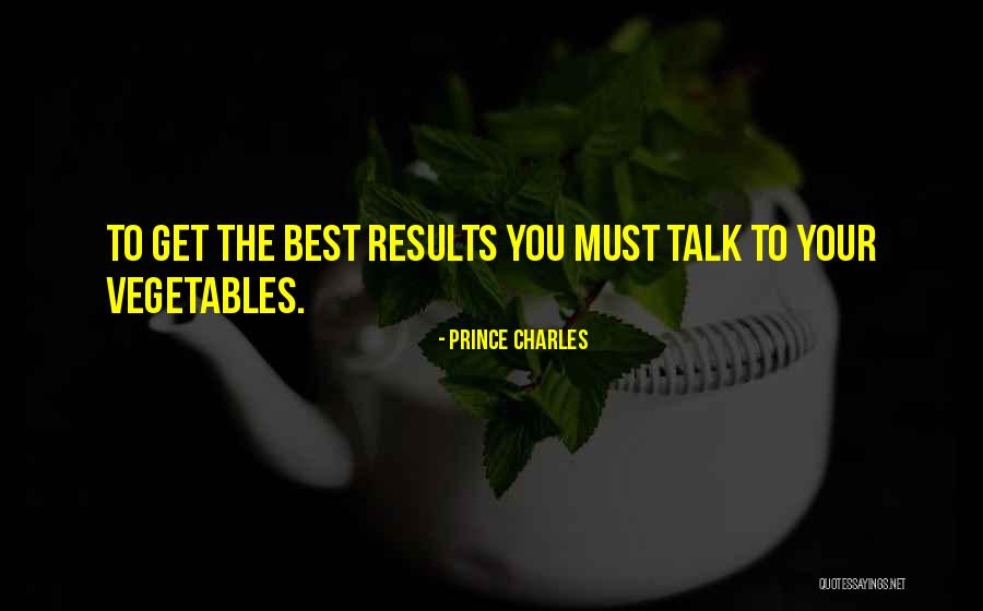 Please Just Talk To Me Quotes By Prince Charles