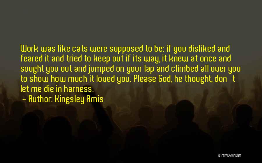 Please Let Me Die Quotes By Kingsley Amis