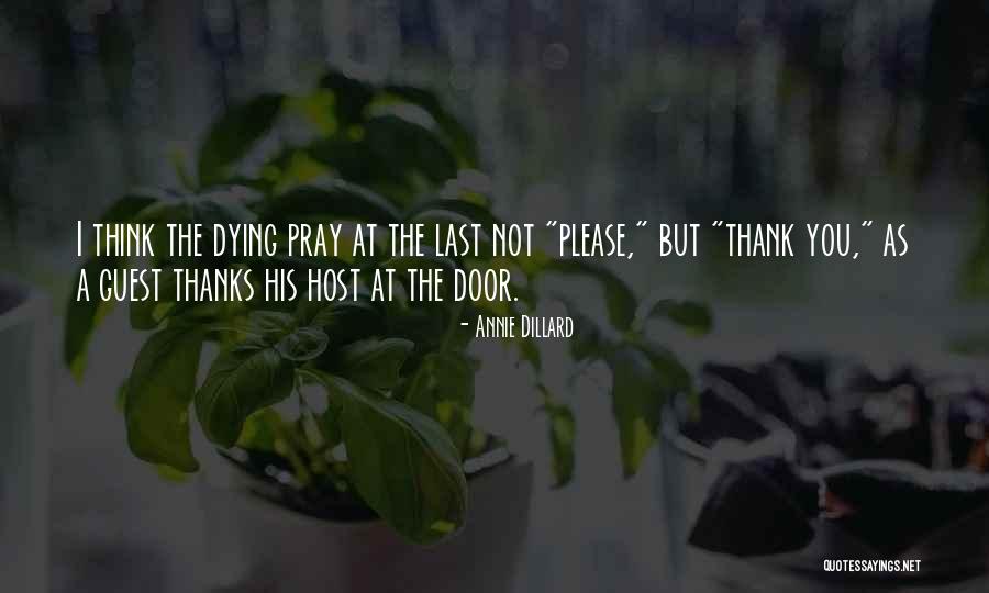 Please Pray Quotes By Annie Dillard Please Pray Quotes By Annie Dillard