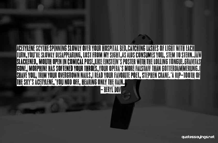 Please Read Slowly Quotes By Beryl Dov Please Read Slowly Quotes By Beryl Dov