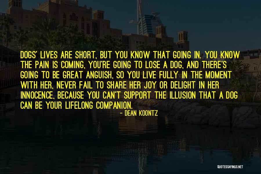 Please Share And Support Quotes By Dean Koontz Please Share And Support Quotes By Dean Koontz