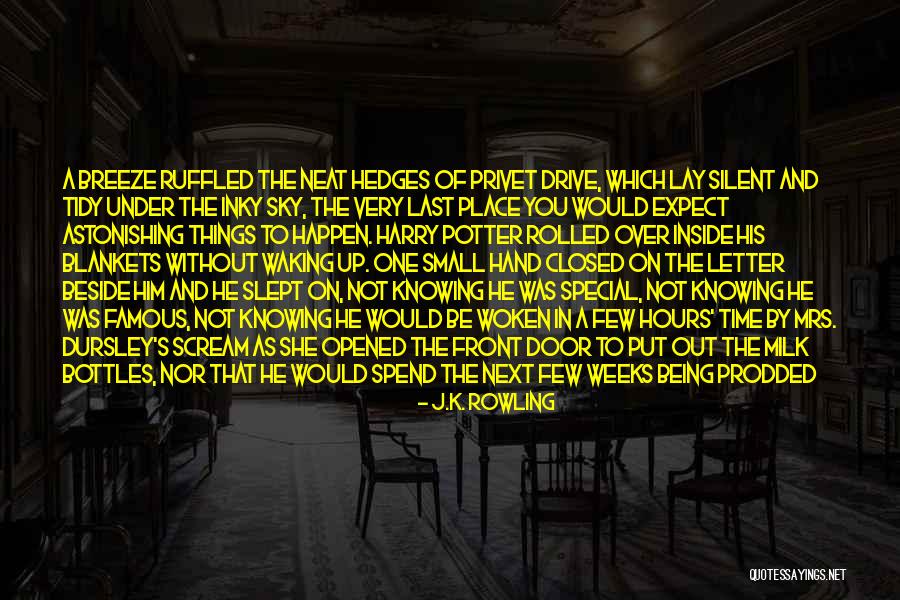 Please Spend Time With Me Quotes By J.K. Rowling