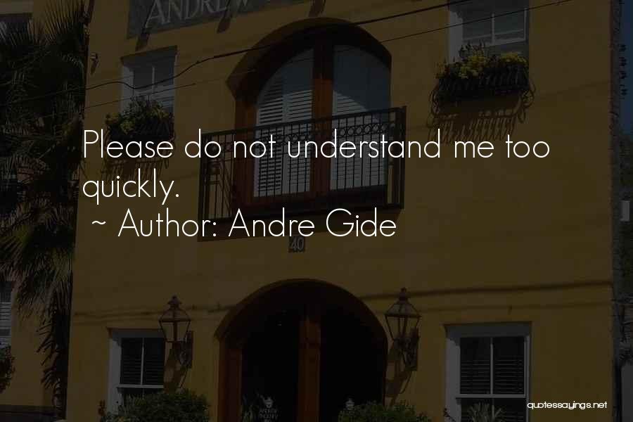 Please Understand Me Quotes By Andre Gide